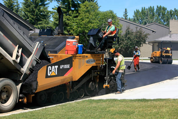 Best Custom Driveway Pavers  in Woodbury, NY